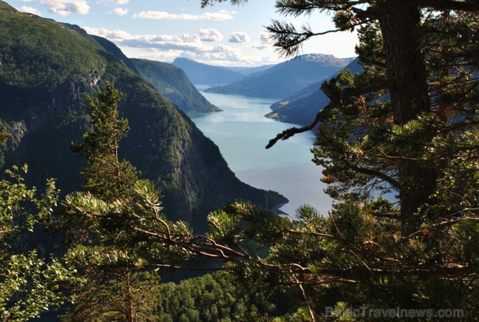 Sognefjords ir pats garākais fjords pasaulē un tiek saukts par fjordu karali. Tas ir 219 kilometru garš, sešus kilometrus plats un līdz pat 1308 metru 90847