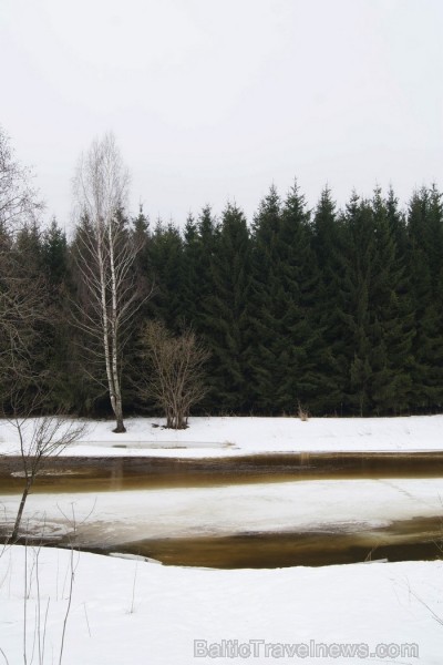 Ledus kušana Latvijas un Lietuvas pierobežas upē Mēmelē jeb Nemunelē. Kuplās egles jau atrodas Lietuvas pusē. Ledus kušana Latvijas un Lietuvas pierobežas upē Mēmelē jeb Nemunelē. Kuplās egles jau atrodas Lietuvas pusē. 91906