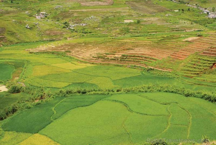 Madagaskaru apmēram 5.000 kilometru garumā apskalo Indijas okeāns. Tā ir viena no vecākajām salām pasaulē un noteikti pārsteigs katru tās apmeklētāju Madagaskaru apmēram 5.000 kilometru garumā apskalo Indijas okeāns. Tā ir viena no vecākajām salām pasaulē un noteikti pārsteigs katru tās apmeklētāju 92220