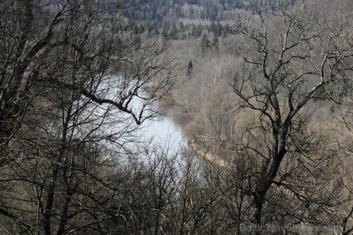 Siguldas Svētku laukumā 03. - 04.05.2013 norisinās 10. Stādu parāde, kas katru pavasari pulcina stādaudzētājus un dārzkopjus no visas Latvijas. Foto: Siguldas Svētku laukumā 03. - 04.05.2013 norisinās 10. Stādu parāde, kas katru pavasari pulcina stādaudzētājus un dārzkopjus no visas Latvijas. Foto: 93391