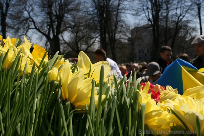 04.05.2013 pie Brīvības pieminekļa notiek Latvijas veidošana no ziediem. Ziedu Latvija pieminekļa pakājē skatāma līdz 06.05.2013 pulksten 21:00. 04.05.2013 pie Brīvības pieminekļa notiek Latvijas veidošana no ziediem. Ziedu Latvija pieminekļa pakājē skatāma līdz 06.05.2013 pulksten 21:00. 93432
