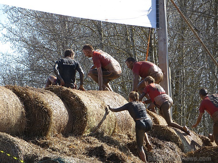 4. maijā kinopilsētā Cinevillā, «Stipro skrējiens» pulcēja Latvijas stiprākos ļaudis - www.parstipru.lv 4. maijā kinopilsētā Cinevillā, «Stipro skrējiens» pulcēja Latvijas stiprākos ļaudis - www.parstipru.lv 93481