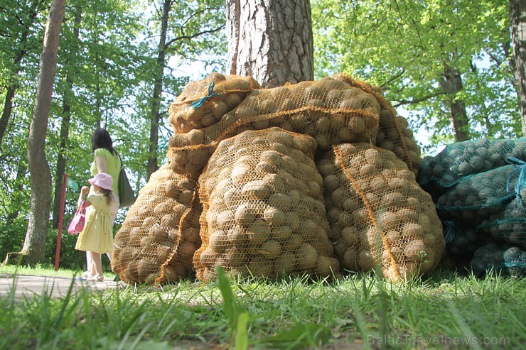 Gulbene 18. maijā aicināja visus interesentus uz vasaras tūrisma sezonas atklāšanu. Foto sponsors: www.milmani.blogspot.com Gulbene 18. maijā aicināja visus interesentus uz vasaras tūrisma sezonas atklāšanu. Foto sponsors: www.milmani.blogspot.com 94475