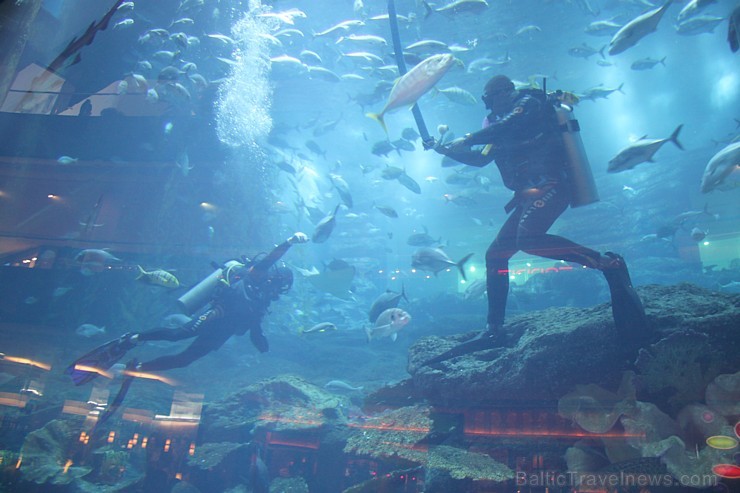 Travelnews.lv redakcija apmeklē pasaules lielāko iepirkšanās centru Dubai Mall, kur izvietojies milzīgs akvārijs. Foto sponsors: www.goadventure.lv Travelnews.lv redakcija apmeklē pasaules lielāko iepirkšanās centru Dubai Mall, kur izvietojies milzīgs akvārijs. Foto sponsors: www.goadventure.lv 95438