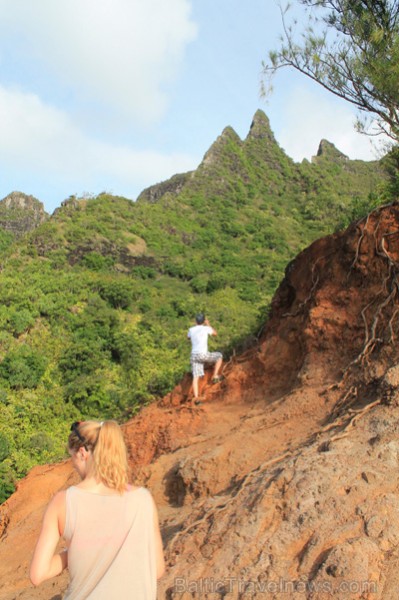 Kalnu taka, kas atrodas uz Kauai salas - Havaju salas. 2013. gada pavasarī Travel Time devās grupu braucienā uz ASV Rietumu krastu un Havaju salām. Fo Kalnu taka, kas atrodas uz Kauai salas - Havaju salas. 2013. gada pavasarī Travel Time devās grupu braucienā uz ASV Rietumu krastu un Havaju salām. Fo 97152