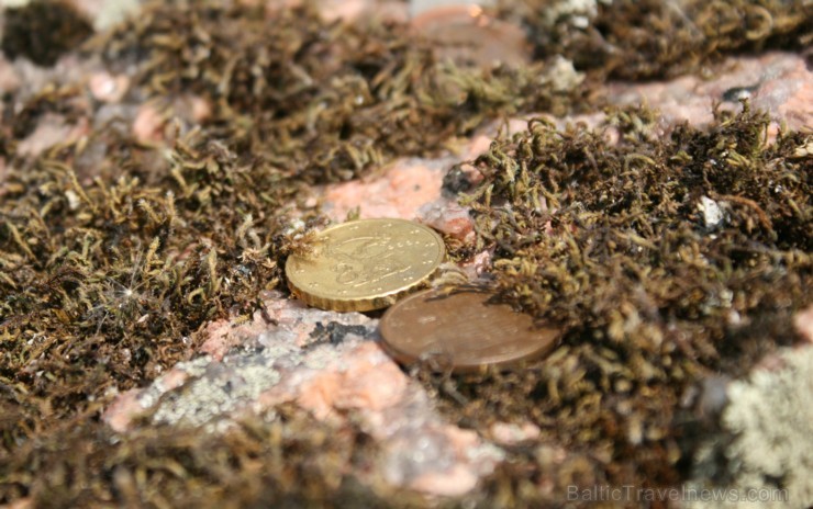 Rehe bedrīšakmens Horeda ciematā. Akmens garums 4,4 metri, platums 4,1 metri, augstums 1,6 metri. Uz akmens virsmas atrodas 46 bedrītes 5-9 centimetru Rehe bedrīšakmens Horeda ciematā. Akmens garums 4,4 metri, platums 4,1 metri, augstums 1,6 metri. Uz akmens virsmas atrodas 46 bedrītes 5-9 centimetru 97218