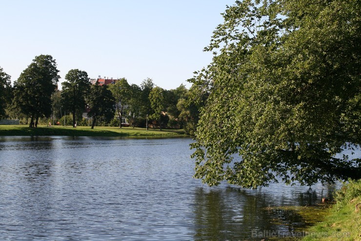 1959. gadā tika veikta Māras dīķa apstādījumu rekonstrukcija pēc P. Seļecka projekta, kad tika ierīkoti pastaigu celiņi apkārt dīķim, tika iestādīti j 1959. gadā tika veikta Māras dīķa apstādījumu rekonstrukcija pēc P. Seļecka projekta, kad tika ierīkoti pastaigu celiņi apkārt dīķim, tika iestādīti j 102527