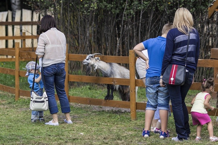 Pik Nik parks Rīgā piedāvā katram parka apmeklētājam atbilstošas atrakcijas - www.piknikparks.lv Pik Nik parks Rīgā piedāvā katram parka apmeklētājam atbilstošas atrakcijas - www.piknikparks.lv 104072