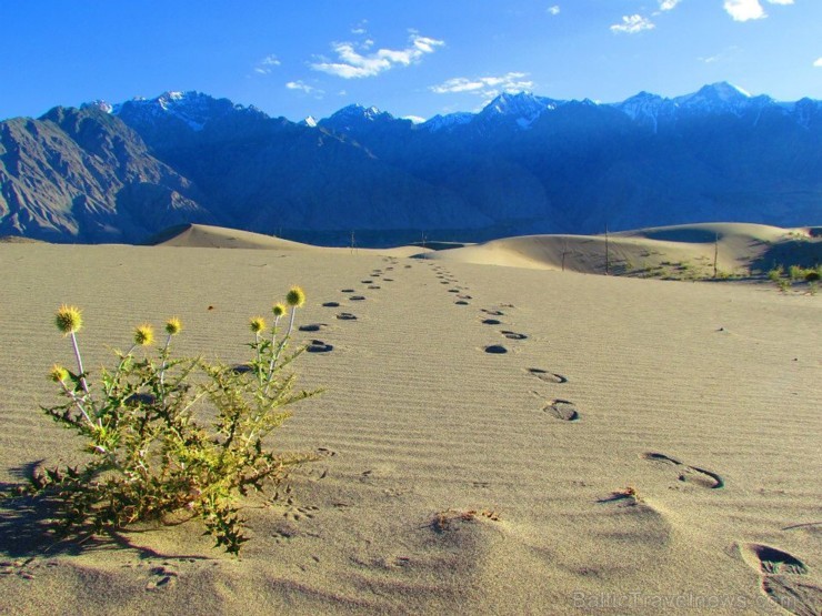 Skaistās Skardu kāpas ar Karakoruma kalniem fonā 106192