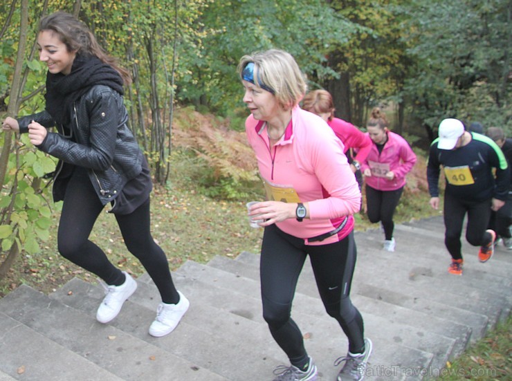Ogres novada balvu izcīņa garo distanču skriešanā «Lazdukalnu kross 2013», kas notika 29.09.2013 - www.LatvijasCentrs.lv Ogres novada balvu izcīņa garo distanču skriešanā «Lazdukalnu kross 2013», kas notika 29.09.2013 - www.LatvijasCentrs.lv 106857
