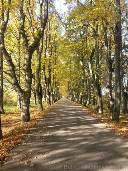Ventspils TIC iesaka doties Zelta rudens ekskursijā par Ventspils novadu. Maršruts: Ventspils- Vārve- Zūras- Vendzavas- Zlēkas- Piltene- Landze- Vents Ventspils TIC iesaka doties Zelta rudens ekskursijā par Ventspils novadu. Maršruts: Ventspils- Vārve- Zūras- Vendzavas- Zlēkas- Piltene- Landze- Vents 107583