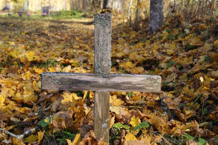 Kankaļu Svētā Jāņa Kristītāja Romas katoļu baznīca ir Eiropas nozīmes koka arhitektūras piemineklis. Tā atrodas Neretas novada Mazzalves pagastā Kankaļu Svētā Jāņa Kristītāja Romas katoļu baznīca ir Eiropas nozīmes koka arhitektūras piemineklis. Tā atrodas Neretas novada Mazzalves pagastā 107721