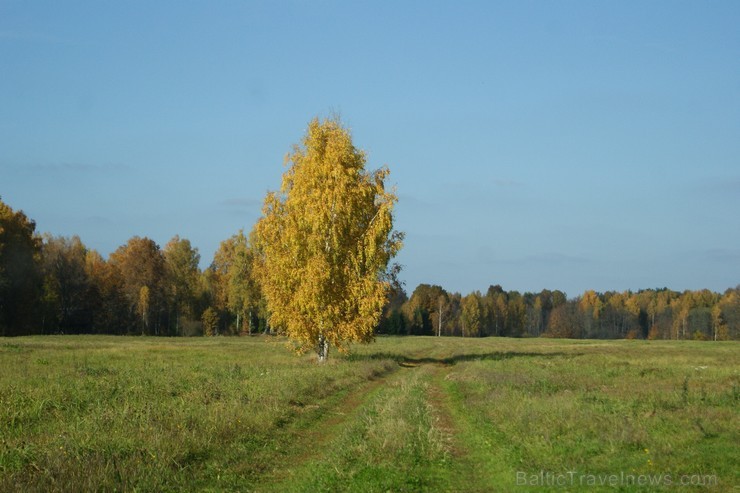 Kankaļu Svētā Jāņa Kristītāja Romas katoļu baznīca ir Eiropas nozīmes koka arhitektūras piemineklis. Tā atrodas Neretas novada Mazzalves pagastā Kankaļu Svētā Jāņa Kristītāja Romas katoļu baznīca ir Eiropas nozīmes koka arhitektūras piemineklis. Tā atrodas Neretas novada Mazzalves pagastā 107737
