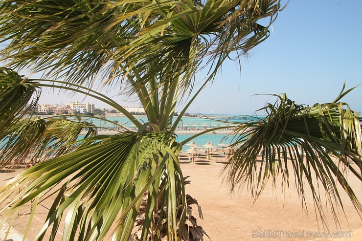 Travelnews.lv iepazīst Hurgadas viesnīcu Festival Shedwan Golden Beach Resort, ko piedāvā starptautiskais tūroperators GoAdventure Travelnews.lv iepazīst Hurgadas viesnīcu Festival Shedwan Golden Beach Resort, ko piedāvā starptautiskais tūroperators GoAdventure 108518