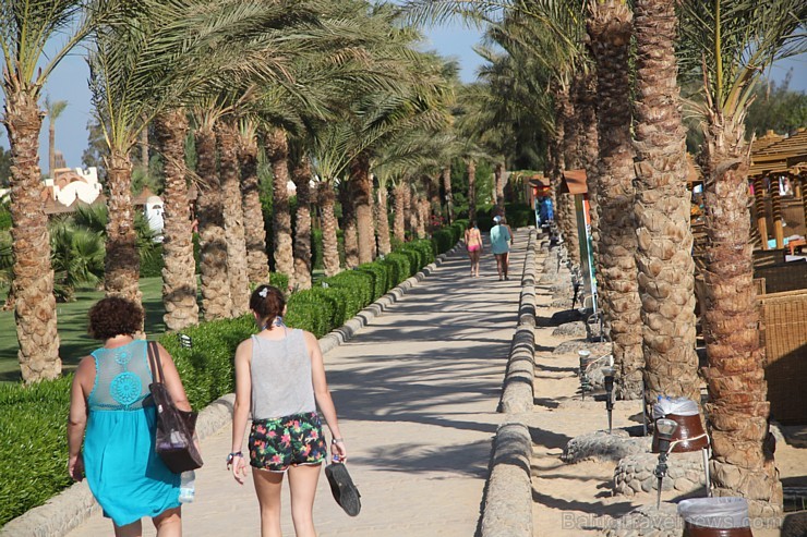 Travelnews.lv iepazīst Hurgadas viesnīcu Sunrise Royal Makadi Resort, ko piedāvā starptautiskais tūroperators GoAdventure Travelnews.lv iepazīst Hurgadas viesnīcu Sunrise Royal Makadi Resort, ko piedāvā starptautiskais tūroperators GoAdventure 108766