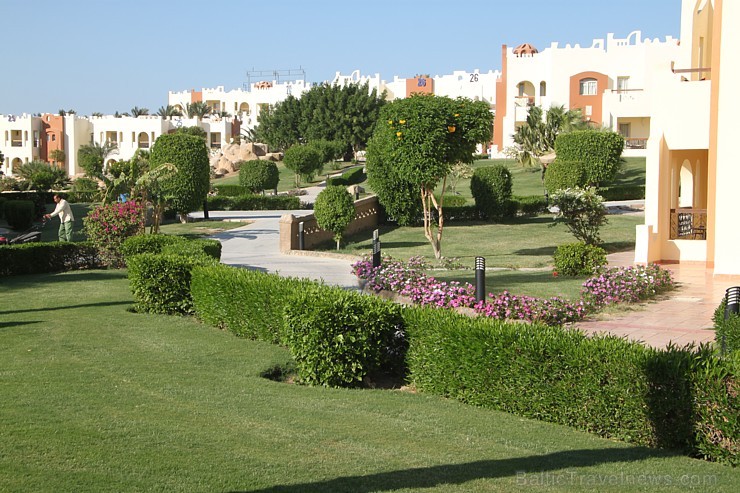 Travelnews.lv iepazīst Hurgadas viesnīcu Sunrise Royal Makadi Resort, ko piedāvā starptautiskais tūroperators GoAdventure Travelnews.lv iepazīst Hurgadas viesnīcu Sunrise Royal Makadi Resort, ko piedāvā starptautiskais tūroperators GoAdventure 108780
