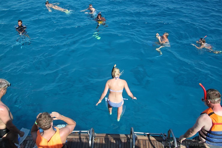 Snorkelēšana Sarkanajā jūrā ir gandrīz kā pienākums katram tūristam - vairāk informācijas par ceļojumiem uz Ēģipti skatiet pie GoAdventure Snorkelēšana Sarkanajā jūrā ir gandrīz kā pienākums katram tūristam - vairāk informācijas par ceļojumiem uz Ēģipti skatiet pie GoAdventure 109025