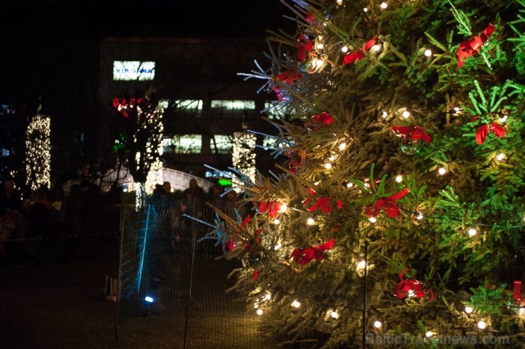 Ar lielās Ziemassvētku egles iemirdzēšanos Liepājā sācies Ziemas festivāls, kas sevī kā lielā rūķa maisā saslēpis daudzus jo daudzus pasākumus, jautru Ar lielās Ziemassvētku egles iemirdzēšanos Liepājā sācies Ziemas festivāls, kas sevī kā lielā rūķa maisā saslēpis daudzus jo daudzus pasākumus, jautru 110392