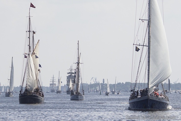 Regate The Tall Ships Races 2013 111668