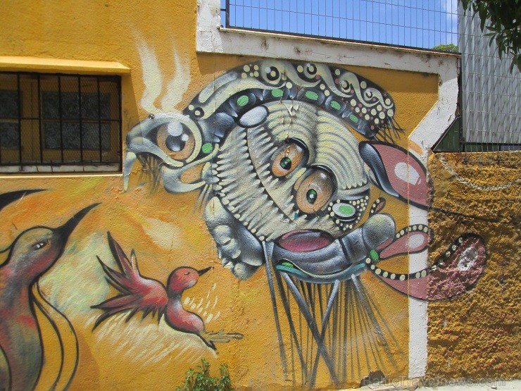 Street Art 112533