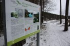 Sajūtu parks Stāvajos krastos pie Gaujas sniedz iespēju iepazīt pašam sevi
