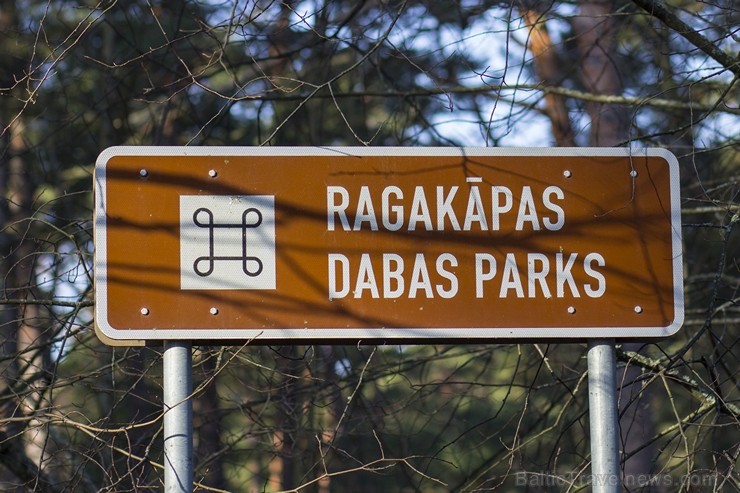 Jūrmalas pilsētas austrumu daļā uz rietumiem no Lielupes grīvas atrodas Ragakāpas dabas parks, tā kopējā platība ir 84 hektāri Jūrmalas pilsētas austrumu daļā uz rietumiem no Lielupes grīvas atrodas Ragakāpas dabas parks, tā kopējā platība ir 84 hektāri 116522