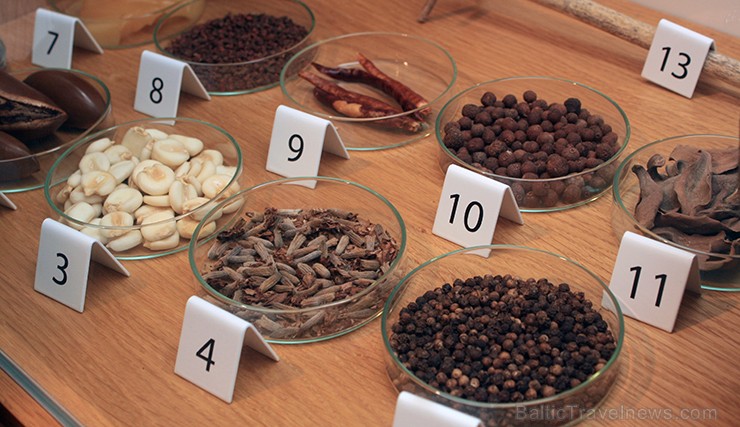 Muzejā iespējams ieskatīties šokolādes senajā pagātnē, aplūkot maiju un acteku šokolādes gatavošanas tradīcijas, kā arī ielūkoties šokolādes gatavošan Muzejā iespējams ieskatīties šokolādes senajā pagātnē, aplūkot maiju un acteku šokolādes gatavošanas tradīcijas, kā arī ielūkoties šokolādes gatavošan 118139
