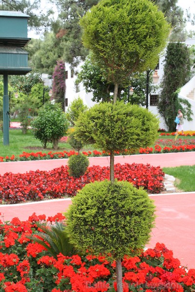 Antālijas (Camyuva) kūrorta pieczvaigžņu viesnīcas Simena Sun Club teritorija - www.novatours.lv 120835