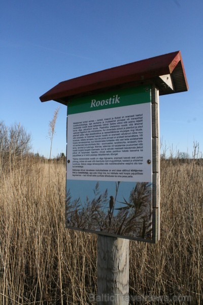 Altmõisa ir īsta miera osta. Tur viesojoties, rodas sajūta, ka ir tikai cilvēks un daba. Viesu māja patiks pilsētas nogurdinātajiem un dabas mīļotājie 120992