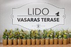 Jūrmalas Jomas ielā jau otro sezonu atklāj LIDO vasaras terasi