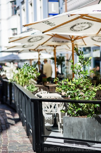 Vecrīgas restorāna Melnā Bite kolektīvs aicina ļauties vasaras garšām, restorāna terasē baudot jaunos šefpavāra sarūpētos ēdienus. Vairāk www.melnabit Vecrīgas restorāna Melnā Bite kolektīvs aicina ļauties vasaras garšām, restorāna terasē baudot jaunos šefpavāra sarūpētos ēdienus. Vairāk www.melnabit 126842
