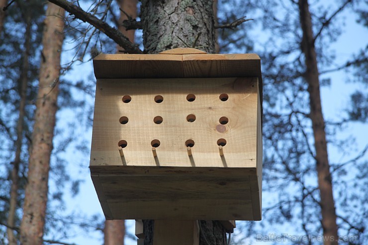 Baltijas lielākais tematiskais parks visai ģimenei «Lotes zeme» atrodas tikai 170 km attālumā no Rīgas - www.lottemaa.ee Baltijas lielākais tematiskais parks visai ģimenei «Lotes zeme» atrodas tikai 170 km attālumā no Rīgas - www.lottemaa.ee 131740