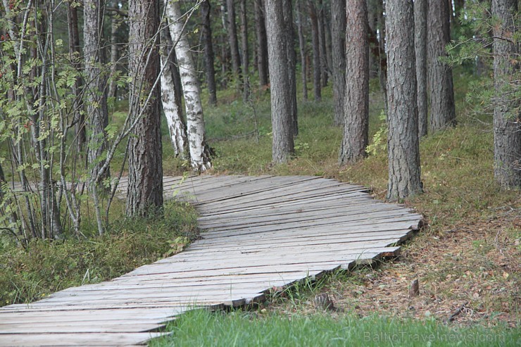 Baltijas lielākais tematiskais parks visai ģimenei «Lotes zeme» atrodas tikai 170 km attālumā no Rīgas - www.lottemaa.ee Baltijas lielākais tematiskais parks visai ģimenei «Lotes zeme» atrodas tikai 170 km attālumā no Rīgas - www.lottemaa.ee 131745