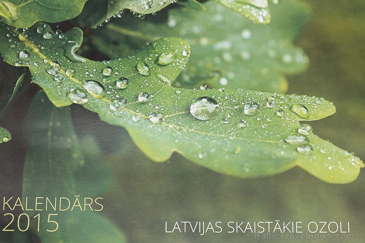 Ar 2015. gada kalendāra prezentāciju noslēdzies Ozols Grupa rīkotais fotokonkurss Latvijas skaistākie ozoli Ar 2015. gada kalendāra prezentāciju noslēdzies Ozols Grupa rīkotais fotokonkurss Latvijas skaistākie ozoli 139715