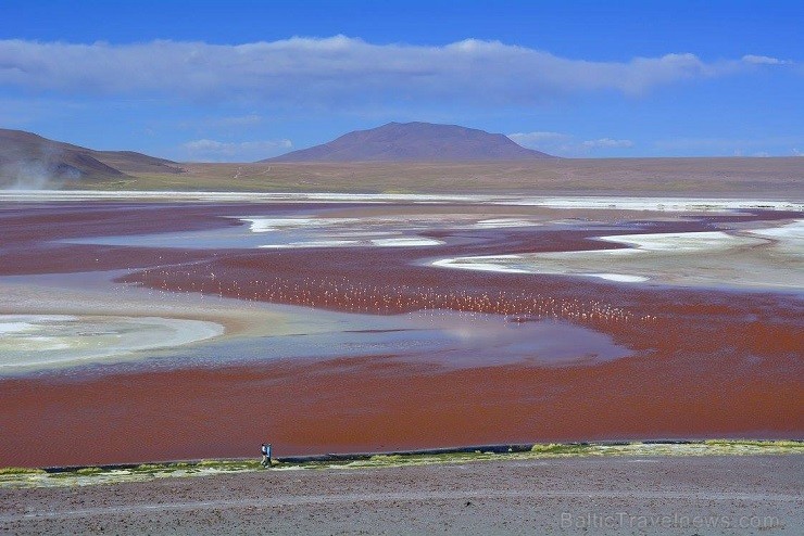 Bolīvija visdrīzāk ir krāsām bagātākā ezeru zeme uz planētas, jo lagūnas šeit pat ir dzeltenos, melnos un sarkanos toņos - 
Foto: Laguna Colorada jeb 140740