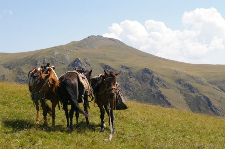 Tušetija – vieta, kur sajust augstkalnu mieru - lv.rsp.travel.lv 142140