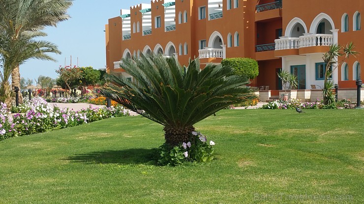 Travelnews.lv redakcija sadarbībā ar tūroperatoru GoAdventure iepazīst Hurgadas viesnīcas «Sentido Mamlouk Palace» un «Sunrise Select Garden Beach Res Travelnews.lv redakcija sadarbībā ar tūroperatoru GoAdventure iepazīst Hurgadas viesnīcas «Sentido Mamlouk Palace» un «Sunrise Select Garden Beach Res 144939
