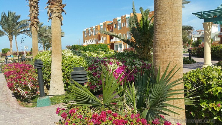 Travelnews.lv redakcija sadarbībā ar tūroperatoru GoAdventure iepazīst Hurgadas viesnīcas «Sentido Mamlouk Palace» un «Sunrise Select Garden Beach Res Travelnews.lv redakcija sadarbībā ar tūroperatoru GoAdventure iepazīst Hurgadas viesnīcas «Sentido Mamlouk Palace» un «Sunrise Select Garden Beach Res 144943
