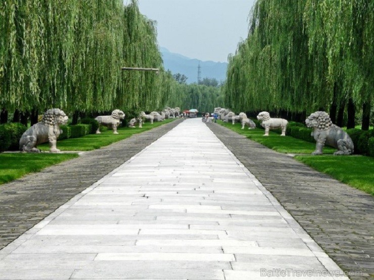 Kas gan būtu Pekina, ja nenogaršotu izslavēto Pekinas pīli? Izrādās, labs pavārs ir tas, kurš vienu putnu spēj sagriezt 100 šķēlītēs, bet šīs šķēlītes 145303