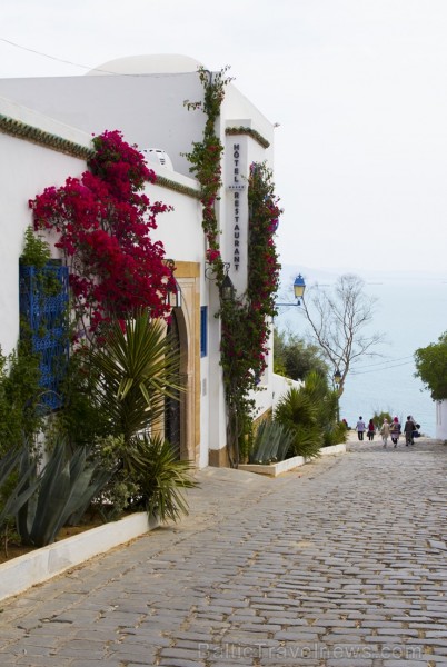 Travelnews.lv redakcija apskata populāro Sidi Bou Said pilsētu Tunisijā 150641