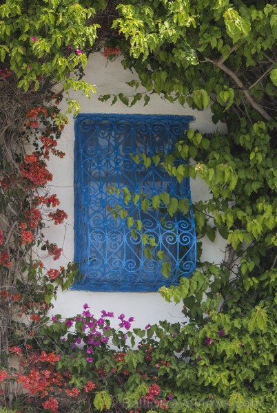 Travelnews.lv redakcija apskata populāro Sidi Bou Said pilsētu Tunisijā 150650