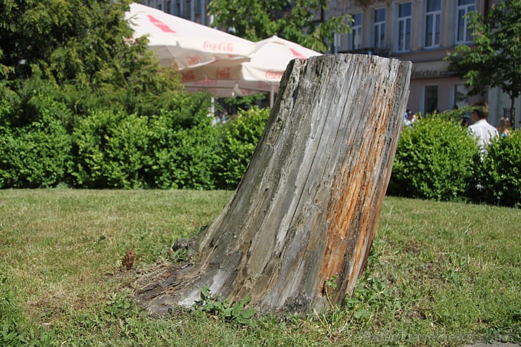 Daugavpils (www.visitdaugavpils.lv) ar vērienīgiem un saulainiem svētkiem svin 740. gadu pilsētas jubileju Daugavpils (www.visitdaugavpils.lv) ar vērienīgiem un saulainiem svētkiem svin 740. gadu pilsētas jubileju 151064