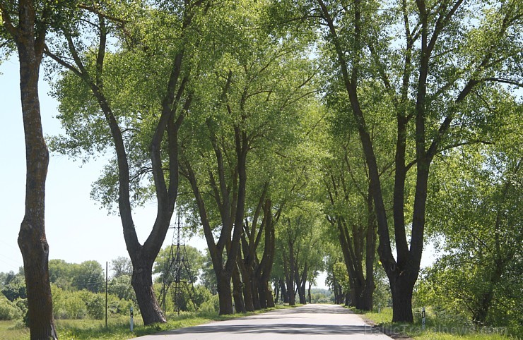 Daugavpils (www.visitdaugavpils.lv) ar vērienīgiem un saulainiem svētkiem svin 740. gadu pilsētas jubileju Daugavpils (www.visitdaugavpils.lv) ar vērienīgiem un saulainiem svētkiem svin 740. gadu pilsētas jubileju 151067