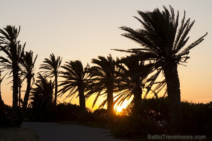Travelnews.lv redakcija sadarbībā ar starptautisko tūroperatoru Novatours vēro burvīgu saulrietu Tunisijas pilsētas Monastir pievārtē Travelnews.lv redakcija sadarbībā ar starptautisko tūroperatoru Novatours vēro burvīgu saulrietu Tunisijas pilsētas Monastir pievārtē 151246