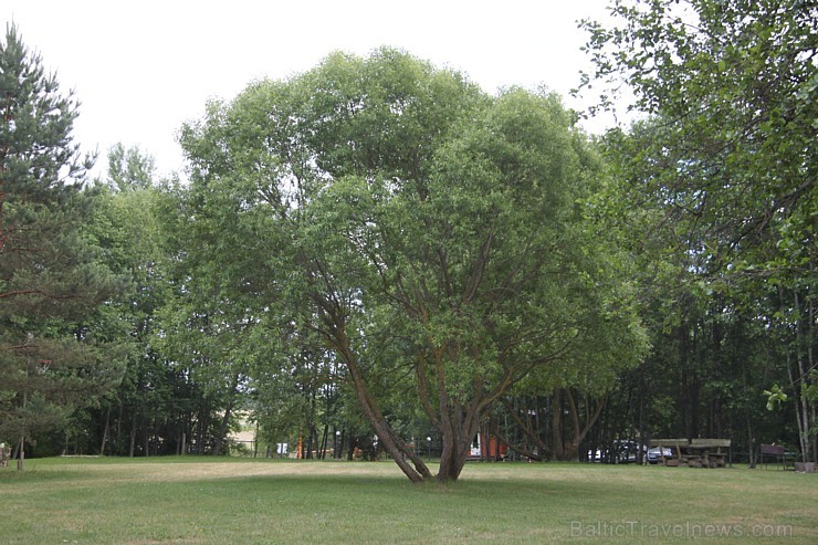 Viens no labākajiem Latgales kempingiem «Siveri», kas atrodas Krāslavas novadā, gaida pasaules tūristus ciemos. Telefons: +371 29278599 Viens no labākajiem Latgales kempingiem «Siveri», kas atrodas Krāslavas novadā, gaida pasaules tūristus ciemos. Telefons: +371 29278599 152907