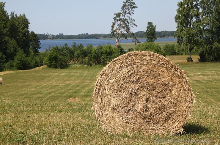 Viens no labākajiem Latgales kempingiem «Siveri», kas atrodas Krāslavas novadā, gaida pasaules tūristus ciemos. Telefons: +371 29278599 Viens no labākajiem Latgales kempingiem «Siveri», kas atrodas Krāslavas novadā, gaida pasaules tūristus ciemos. Telefons: +371 29278599 153085