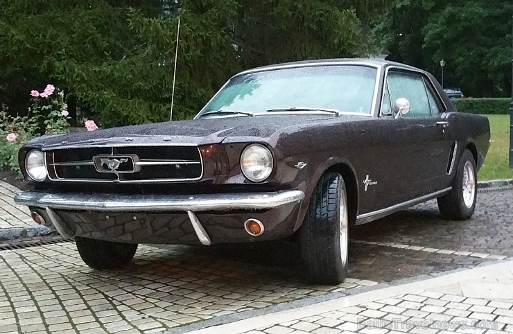 Leģendārais Ford Mustang, ko uzsāka būvēt 1964. gadā un ieguva milzīgu popularitāti visā pasaulē Leģendārais Ford Mustang, ko uzsāka būvēt 1964. gadā un ieguva milzīgu popularitāti visā pasaulē 158963