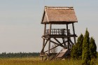 Kaņiera ezers ar putnu vērošanas torni ir viena no labākajām putnu vērošanas vietām