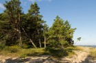 Kolkas priežu dabas takā apskatāmas vecākās mežainās kāpas