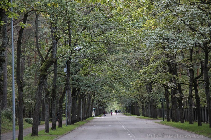 «Nike Riga Run» treniņi pulcē Mežaparkā simtiem sportisku ļaužu, jo 13.09.2015 (svētdien) entuziasti un profesionāļi sacentīsies lielākajā rudens sta «Nike Riga Run» treniņi pulcē Mežaparkā simtiem sportisku ļaužu, jo 13.09.2015 (svētdien) entuziasti un profesionāļi sacentīsies lielākajā rudens sta 159866